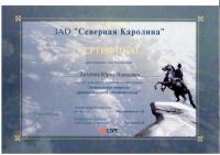 Сертификат врача Холопов Ю.И.