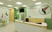Александр Соло, изображение к комментарию.